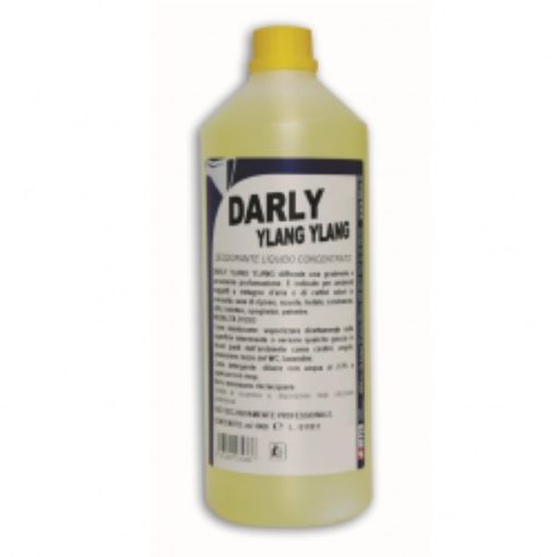 Darly ylang ylang  desodorizante líquido concentrado  1lt